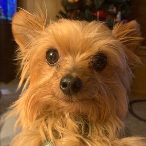 Meet your Posher, Tiffany